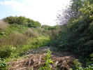 photo thumbnail #11