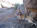 photo thumbnail #3