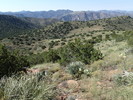 photo thumbnail #7