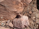 photo thumbnail #8