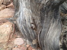 photo thumbnail #14