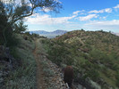 photo thumbnail #2