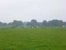 photo thumbnail #11