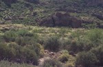 photo thumbnail #9
