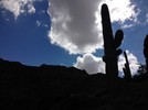 photo thumbnail #15