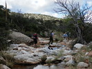 photo thumbnail #1