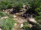 photo thumbnail #8