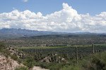 Featured Full Photo