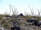photo thumbnail #8