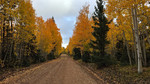 photo thumbnail #2