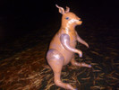 photo thumbnail #12