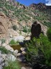 photo thumbnail #5