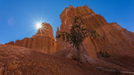 photo thumbnail #12