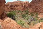 photo thumbnail #11