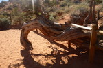 photo thumbnail #12