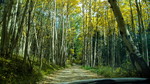 photo thumbnail #7