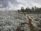 photo thumbnail #2