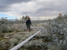 photo thumbnail #4