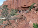 photo thumbnail #10