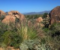 photo thumbnail #9