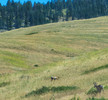 photo thumbnail #8