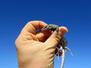 photo thumbnail #1