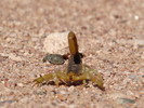 photo thumbnail #3