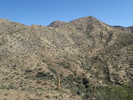 photo thumbnail #3