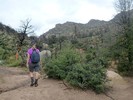 photo thumbnail #5