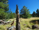 photo thumbnail #2