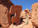 photo thumbnail #3