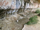photo thumbnail #13