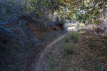 photo thumbnail #10