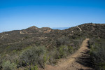 photo thumbnail #11
