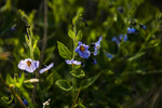 photo thumbnail #7