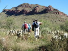 photo thumbnail #4