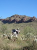 photo thumbnail #5