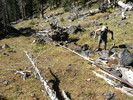 photo thumbnail #2