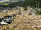 photo thumbnail #9