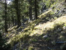 photo thumbnail #12