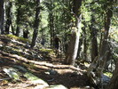photo thumbnail #13