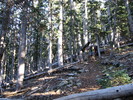 photo thumbnail #14