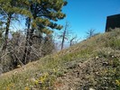 photo thumbnail #5