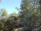 photo thumbnail #8