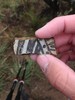 photo thumbnail #5