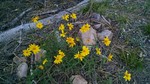 photo thumbnail #13