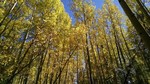 photo thumbnail #15