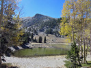 photo thumbnail #8
