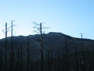 photo thumbnail #15