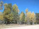 photo thumbnail #2